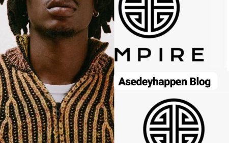 Fireboy DML contract with YBNL is almost coming to an end, and he has no plans to stay with the label anymore, because he has a long term plan to establish his own independent record label, Which requires huge capital, in order to raise funds, he’s considering selling his entire music catalog, publishing rights & master recordings to Empire Records and YBNL For $300m, which will be finalized the moment the companies agreed to pay.