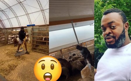 Why Would a Top Nollywood Actor Leave Acting for This?” — Yomi Gold’s US Goat Farm Video Sparks Reactions