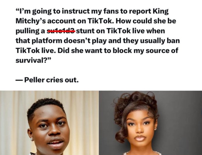“Did She Want to Bl0ck My Source of Survival?” — Peller Cries Out Over TikTok Live Drama