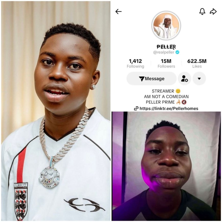 Peller just hit 15 million active followers on TikTok with over 600 million likes.