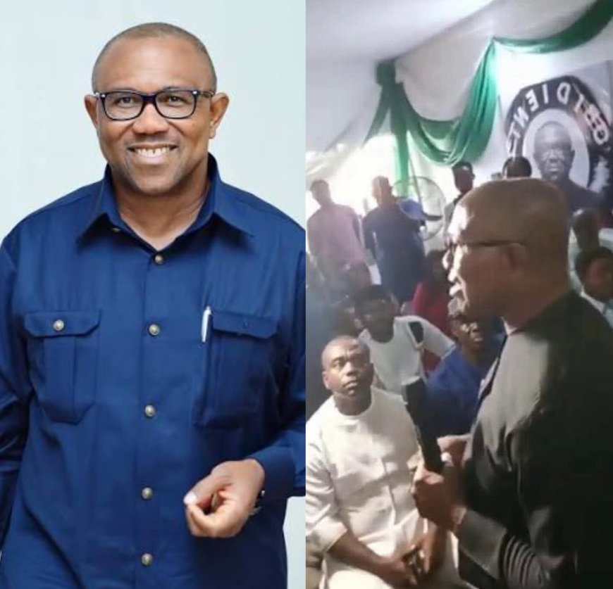 In a statement , Peller's team shared proof that his visit to the Benin Kingdom Palace was officially arranged with palace representatives