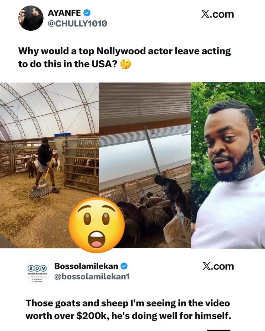 Why Would a Top Nollywood Actor Leave Acting for This?” — Yomi Gold’s US Goat Farm Video Sparks Reactions