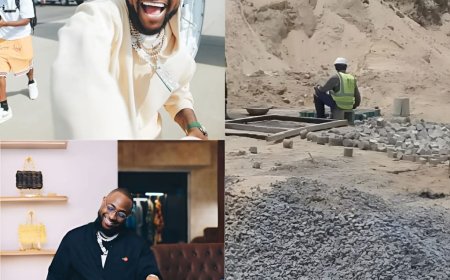 Moment Phyna speaks about Davreltv the guy set to stream Davido's tour live in Barcelona