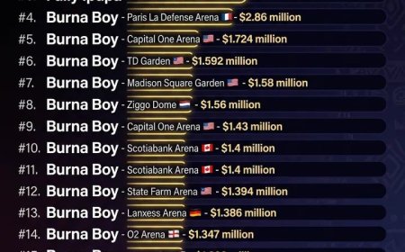 African Artists Highest Grossing Concerts  Source: Africa Facts Zon