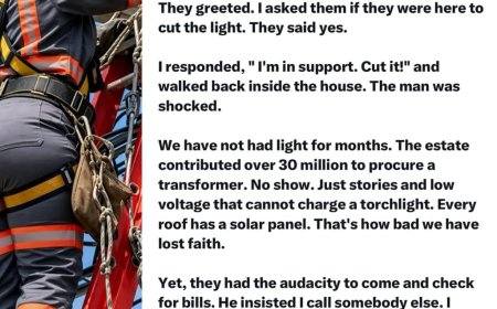 “NEPA Came to Cut Our Light… I Told Them ‘Cut It!’” — Lady’s Response Sparks Reactions