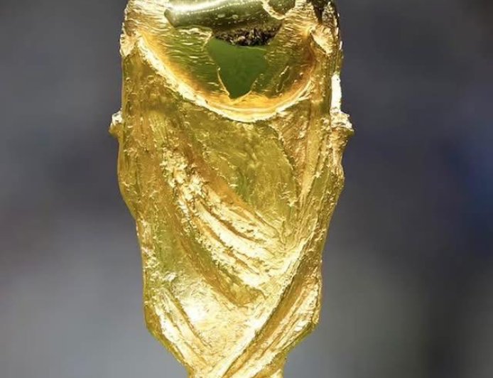 Edouard Mendy claims "everyone feels" Senegal are Africa Cup of Nations champions and there is no question about it