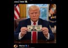  UESTIONS RAISED OVER KATIE ZACHARIA’S LEGAL CREDENTIALS AFTER TRUMP CALLS HER AN ATTORNEYQ!