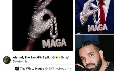 Fans advising the White House to act like adults after posting a Cosign for Drake's ICED OUT Album