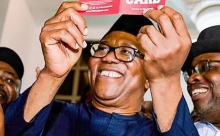 2027: Peter Obi emerges as NDC’s presidential aspirant