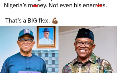 Nigerian makes bold claim about Presidential Candidate Peter Obi.