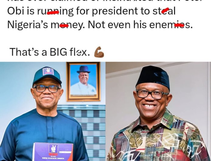 Nigerian makes bold claim about Presidential Candidate Peter Obi.