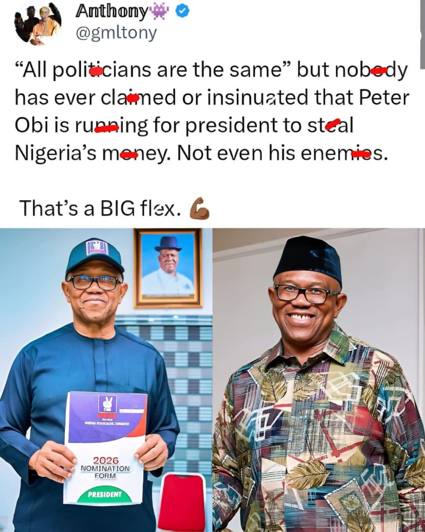 Nigerian makes bold claim about Presidential Candidate Peter Obi.