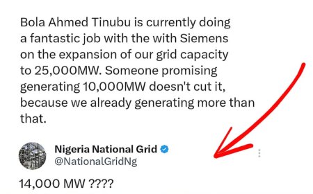 Power Grid expresses shock as Tinubu supporter claims Nigeria generates over 10,000MW of power