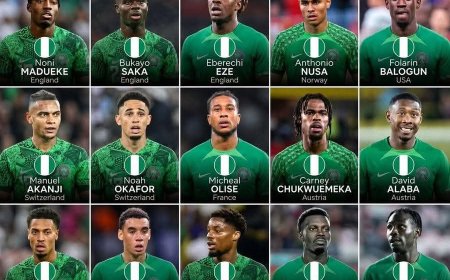 Nigeria doing wonders in the World Cup.   These are players of Nigerian descent currently representing other countries at the 2026 FIFA World Cup