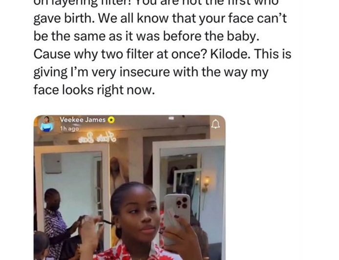 Celebrity designer Veekee James reacts after criticism for using two filters at once