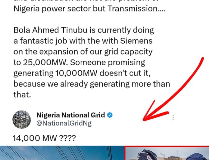 Power Grid expresses shock as Tinubu supporter claims Nigeria generates over 10,000MW of power