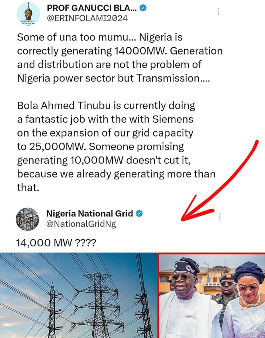 Power Grid expresses shock as Tinubu supporter claims Nigeria generates over 10,000MW of power