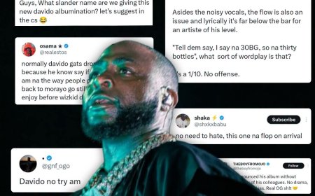 Following how the lead single performed, Critics believe Davido's next Album "Oriade" will underperform
