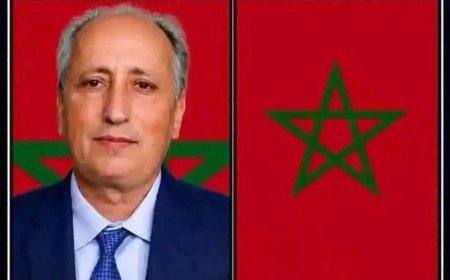 Morocco’s Minister of Sports, Mohammad Saad Berrad, has stated that the Atlas Lions are at the FIFA World Cup to represent Morocco first not Africa as a whole.