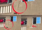 Snake spotted trying to enter one of the flats in 3 storey building