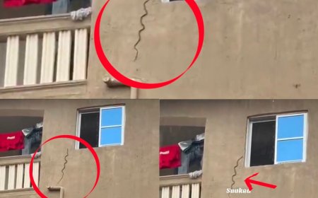 Snake spotted trying to enter one of the flats in 3 storey building