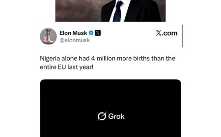 The world’s richest man, Elon Musk, has said Nigeria alone had four million more births than the entire European Union