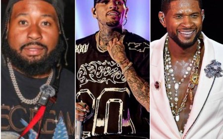Chris Brown and Usher are not in the same league because girls are thirsting over Chris Brown more than Usher." — DJ Akademiks claim