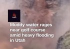 Flooding Hits Utah City as Mud and Water Surge Down Hillsid