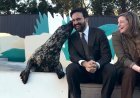 NYC MAYOR ZOHRAN MAMDANI GETS A BIG KISS FROM PICKLES THE SEAL