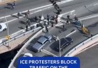 PROTESTERS BLOCK TRAFFIC ON BROOKLYN BRIDGE WITH POWERFUL MESSAGE