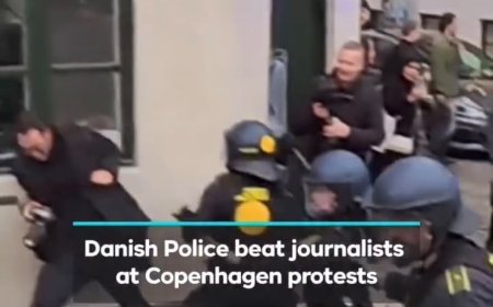 Danish Police Face Backlash After Two Press Photographers Are Beaten During Far-Right Protest in Copenhagen