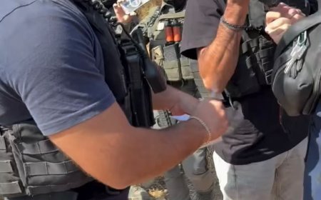 Activist Andrey X Reportedly Arrested in the West Bank During Olive Harvest