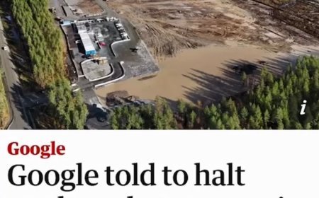 Outcry in Finland as Google Faces Backlash Over Forest Clearance for AI Data Centre