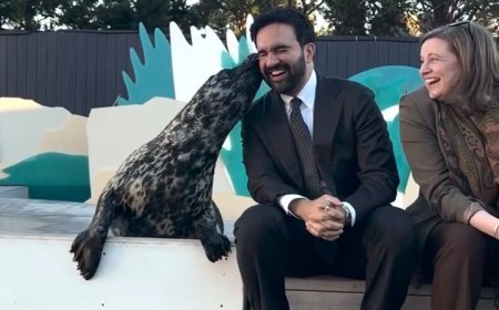 NYC MAYOR ZOHRAN MAMDANI GETS A BIG KISS FROM PICKLES THE SEAL