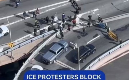 PROTESTERS BLOCK TRAFFIC ON BROOKLYN BRIDGE WITH POWERFUL MESSAGE
