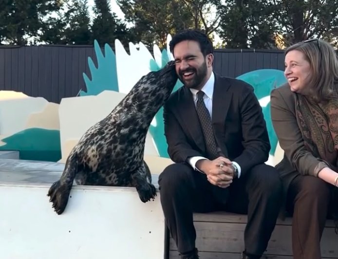 NYC MAYOR ZOHRAN MAMDANI GETS A BIG KISS FROM PICKLES THE SEAL