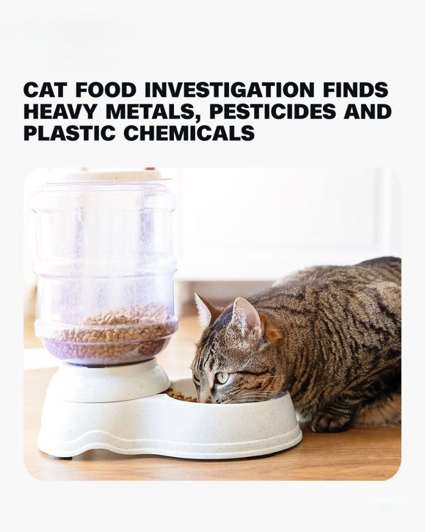 NEW INVESTIGATION RAISES CONCERNS OVER CONTAMINANTS IN CAT FOOD