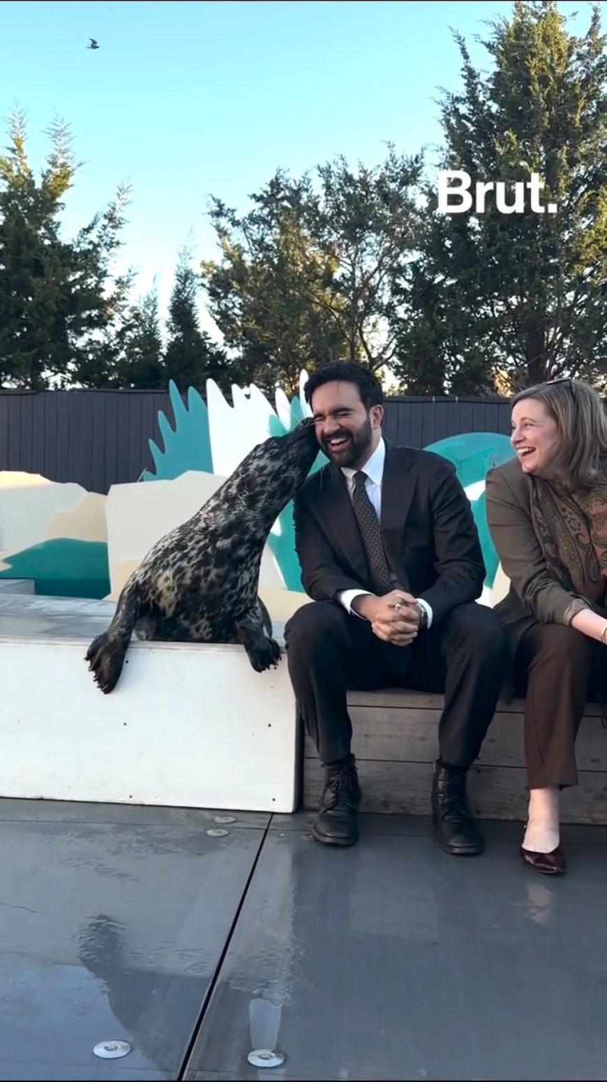 NYC MAYOR ZOHRAN MAMDANI GETS A BIG KISS FROM PICKLES THE SEAL